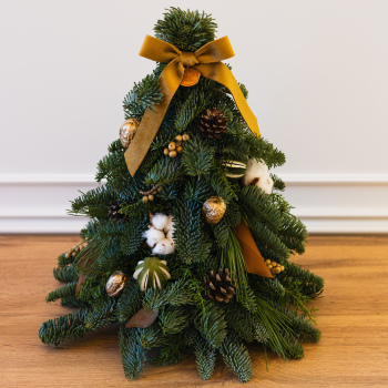 PINHEIRO QUEBRA-NOZES M