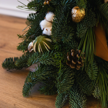 PINHEIRO QUEBRA-NOZES M