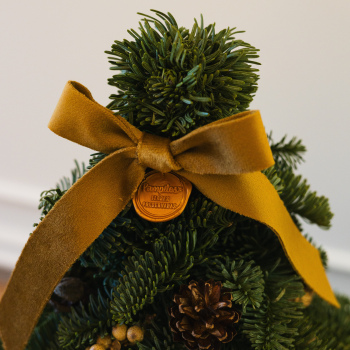 PINHEIRO QUEBRA-NOZES M